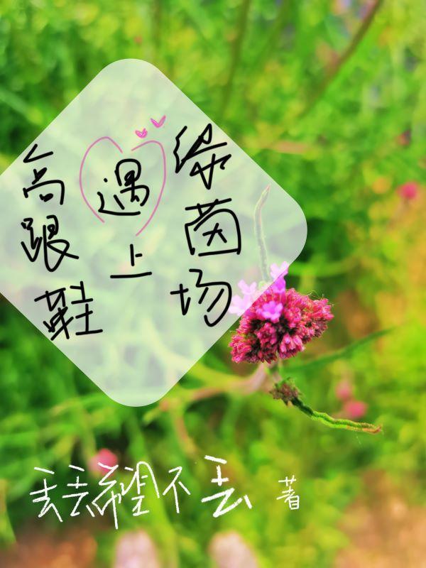 我的老婆谁敢追