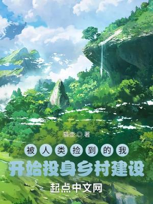 夫人有在打官司