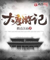 大明流匪无弹窗无广告