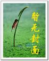少年之烽火岁月